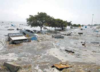 缅甸地震或引发海啸，影响与应对