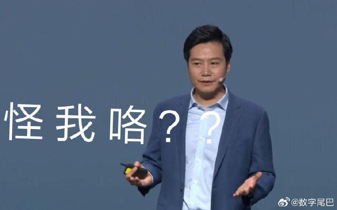 雷军骂人事件，探究背后的真相与反思