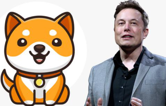 马斯克与Daddydoge，一场星辰大海的冒险之旅