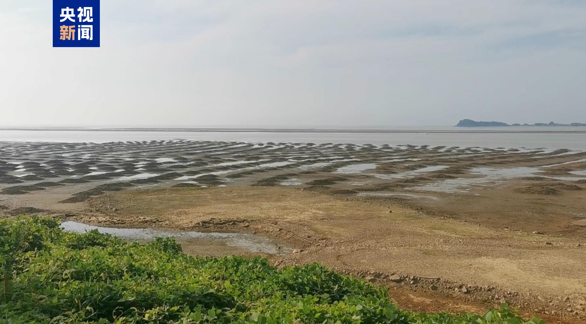 鄱阳湖水位下降了吗？探究背后的真相