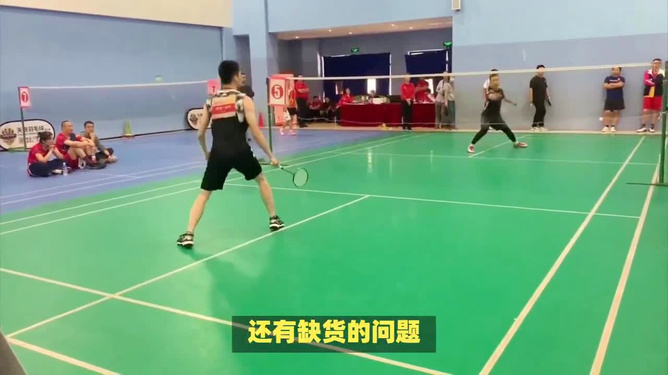 羽毛球价格涨势逼人，深度解析背后的原因