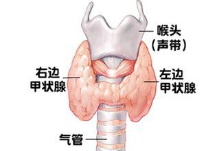 甲亢UP主的心路历程与深度解析