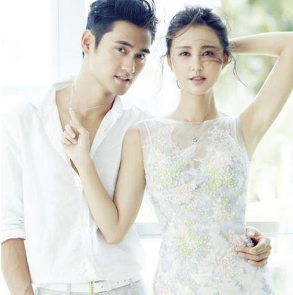 袁弘评价，多维度的演艺才华与个人魅力