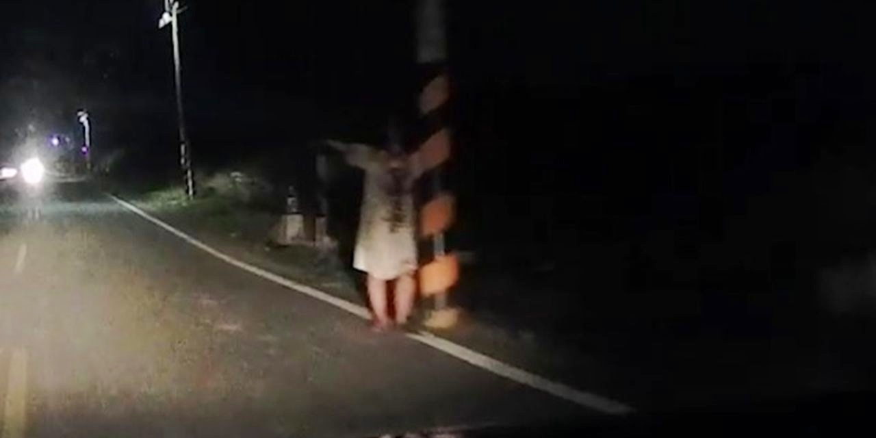 网友夜间开车遇女子站路边招手，一次意外的邂逅经历