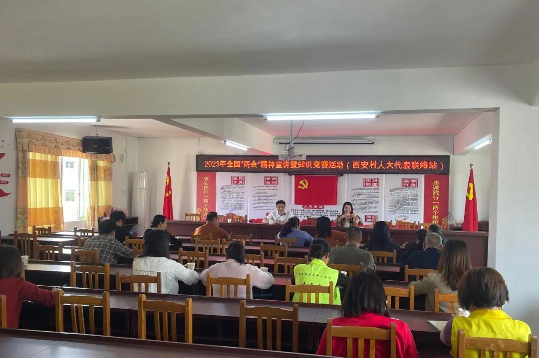 出租屋里的养鸡日常，一种别样的都市生活体验
