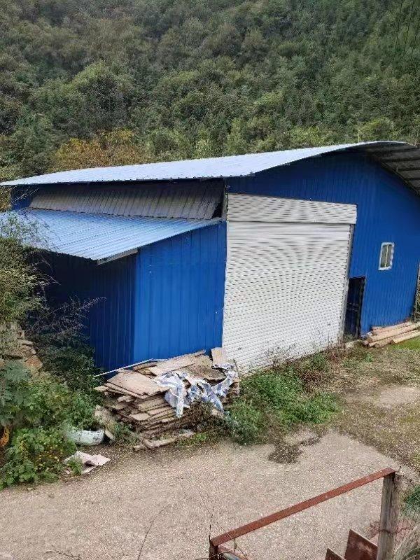 出租屋里的养鸡日常，一种别样的都市生活体验