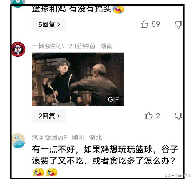 喂鸡神器视频，现代科技与传统养殖的完美结合