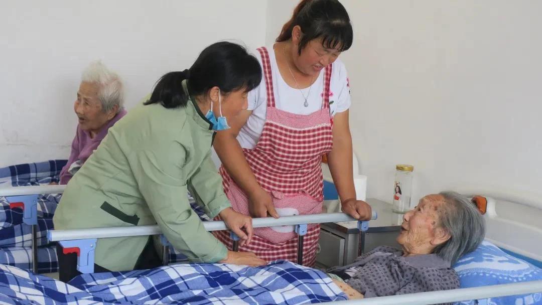 河北一地拟取消老年人免费乘公交政策，深度分析与多元视角