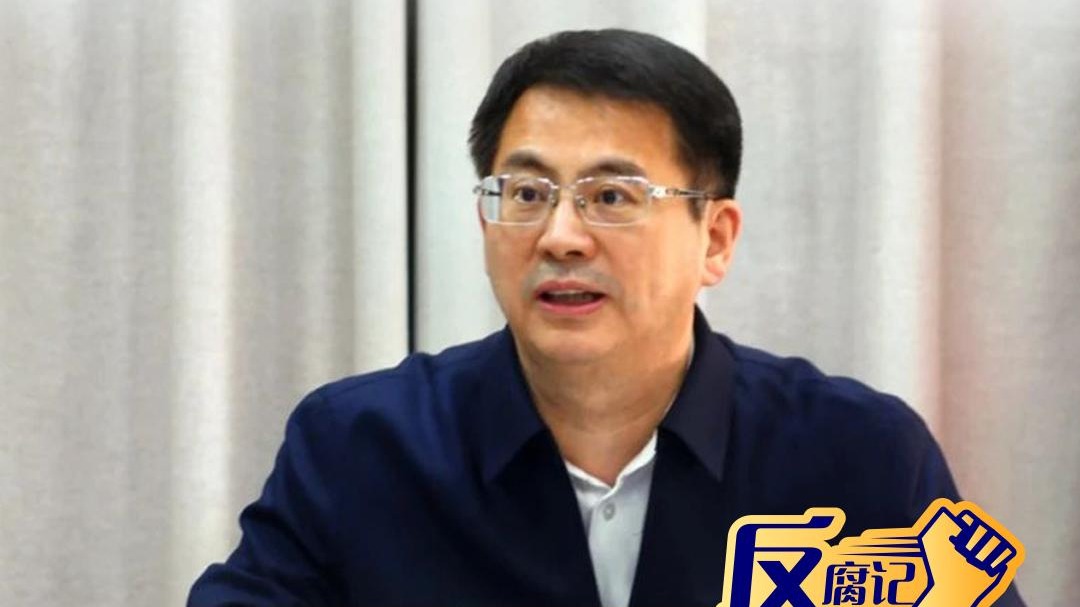 副市长被查后还能接访？当地回应