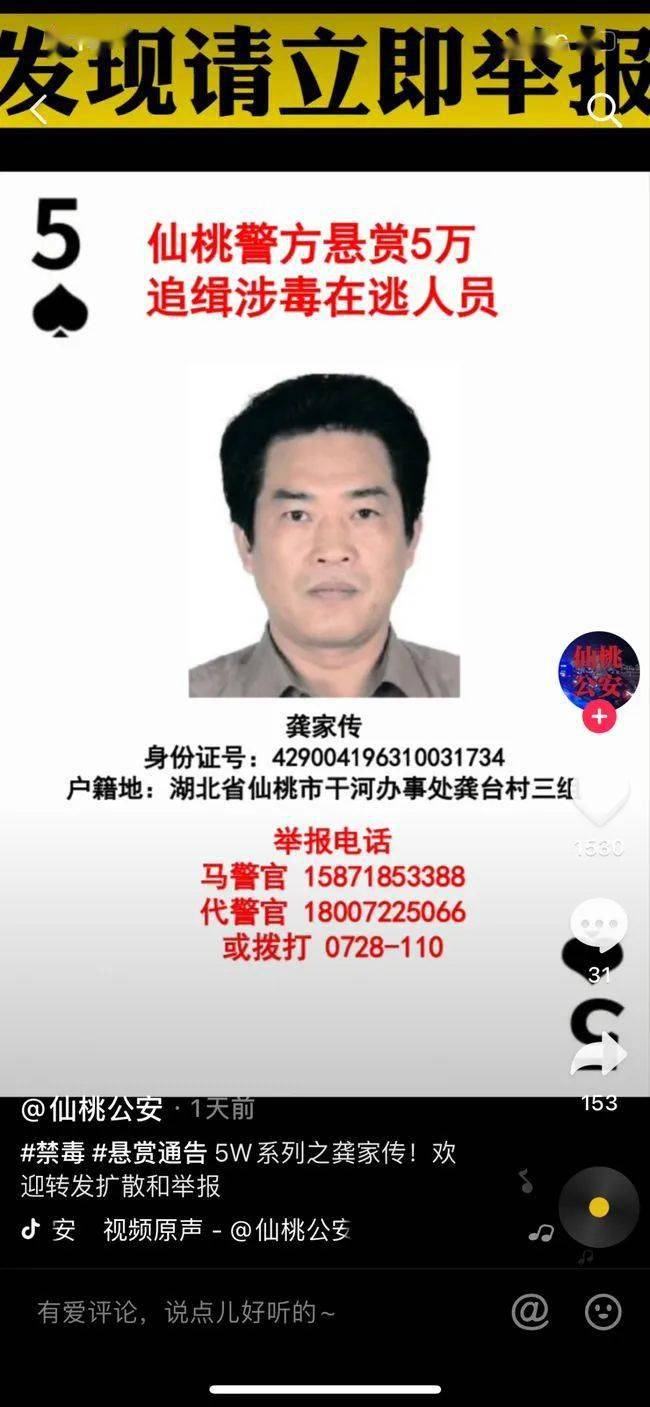 全网通缉的在逃熊找到了