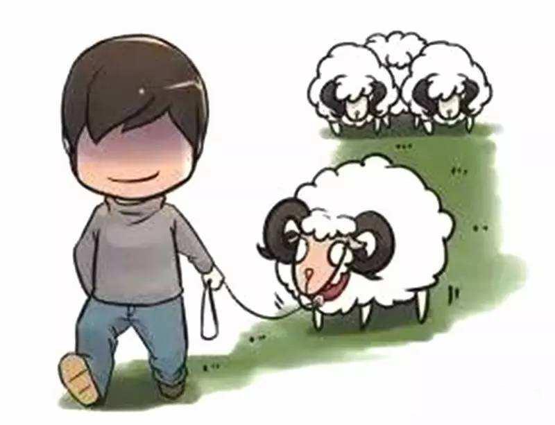 健身房案件深度解析