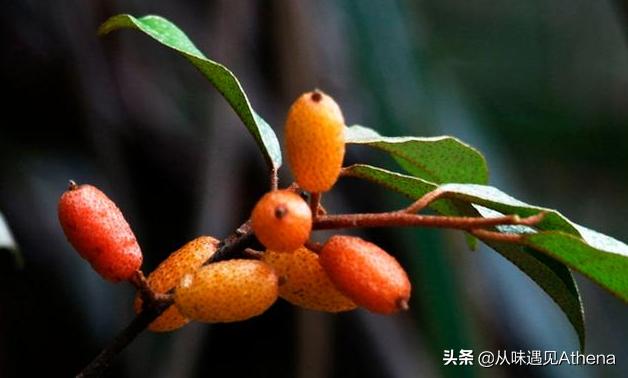 广西扫墓结束后秒变野炊现场