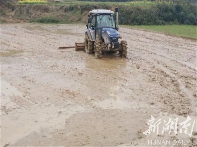 中国经济的信心和底气