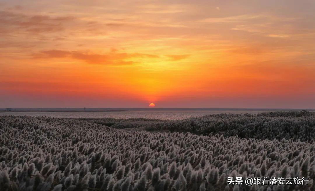 博主露营遭遇漫天黄沙飞舞，奇妙探险之旅！