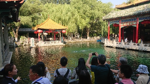感觉天下第一泉围了一亿人