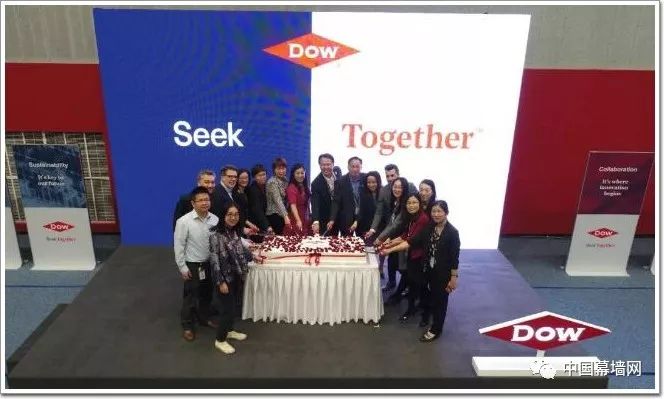 中国杜邦集团有限公司，探索与崛起的商业巨擘