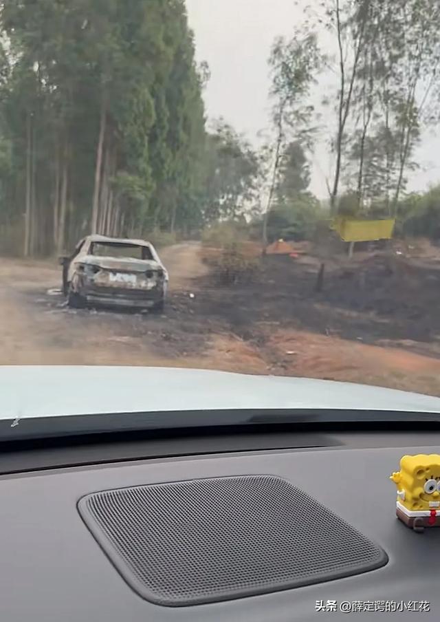 祭祖烧真车？目击者发声