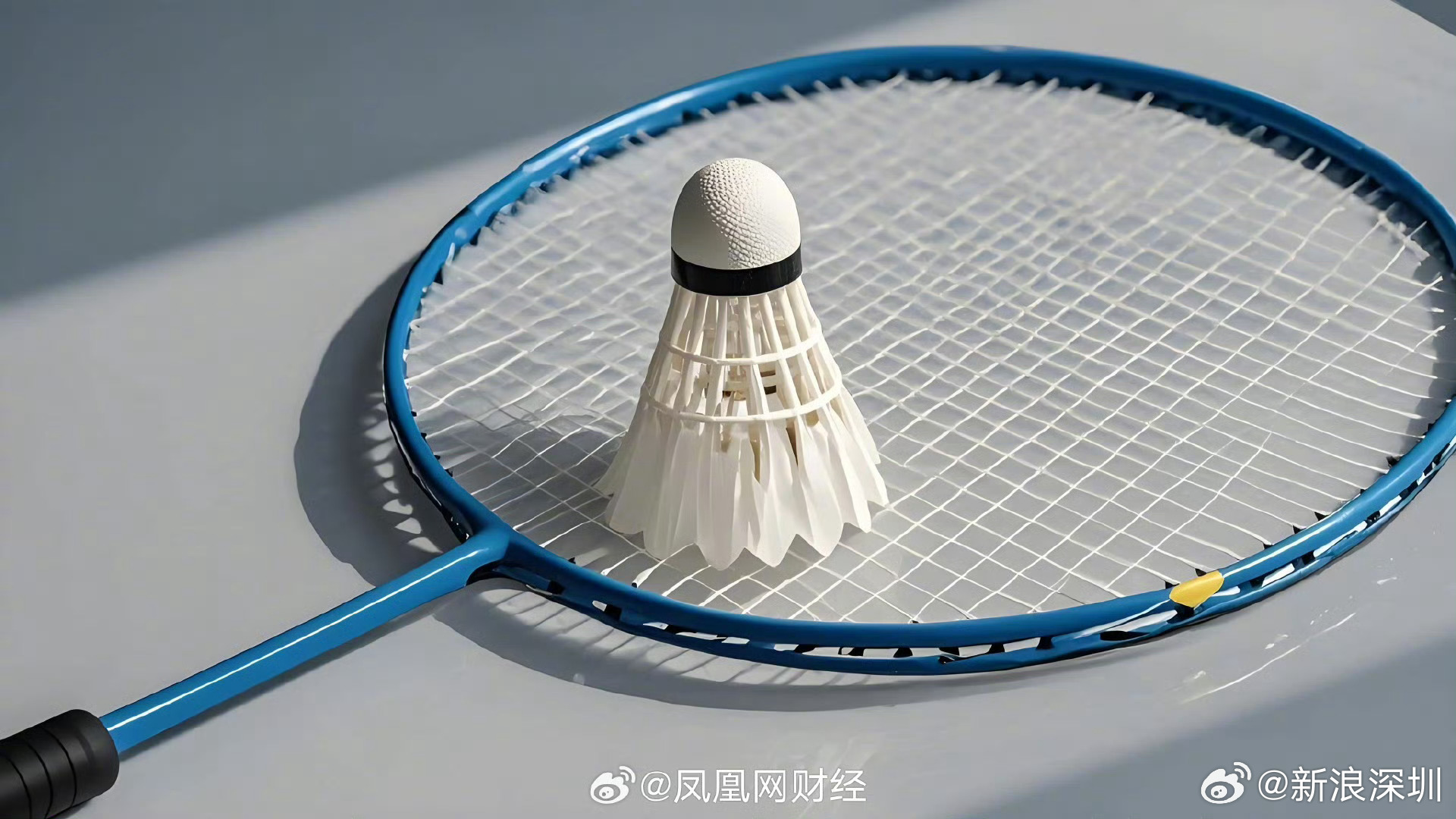 羽毛球涨幅超过黄金，运动风尚的新篇章