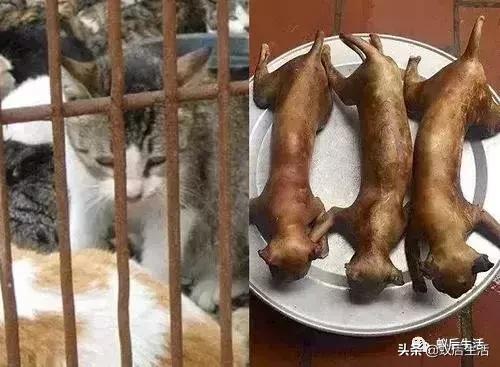 大V热议，越南能否满足美国的胃口——一个值得探讨的问题