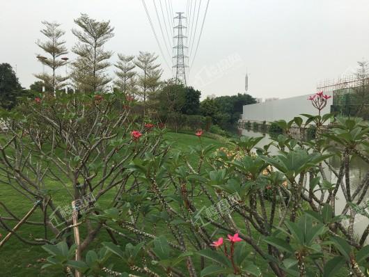 震惊！女子入住新房仅18天竟产生超39000元水费，揭秘背后的故事