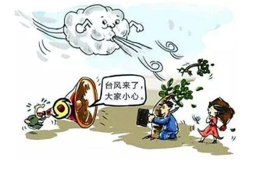 大风会带来什么灾难？让我们深入了解其影响