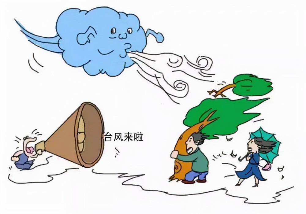 大风会带来什么灾难？让我们深入了解其影响