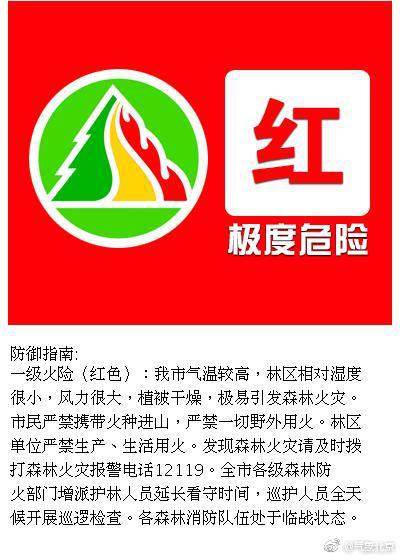 北京大风橙色预警下的城市脉动