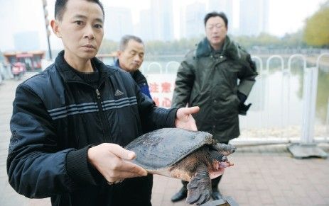 烟台街头重现20年前甲鱼骗术，警惕街头陷阱！
