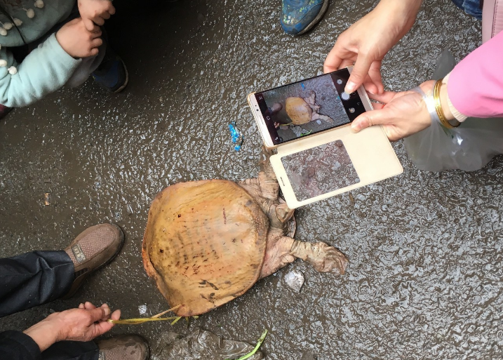 烟台街头重现20年前甲鱼骗术，警惕街头陷阱！