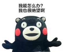 这风真懂事，一点也不耽误周一上班