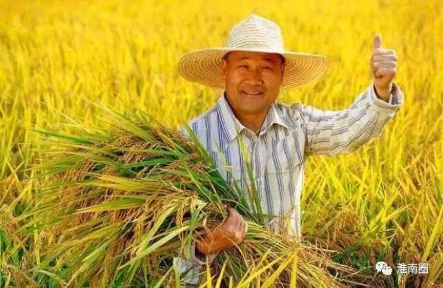 美国豆农的悬心终落地，从焦虑到安心的转变