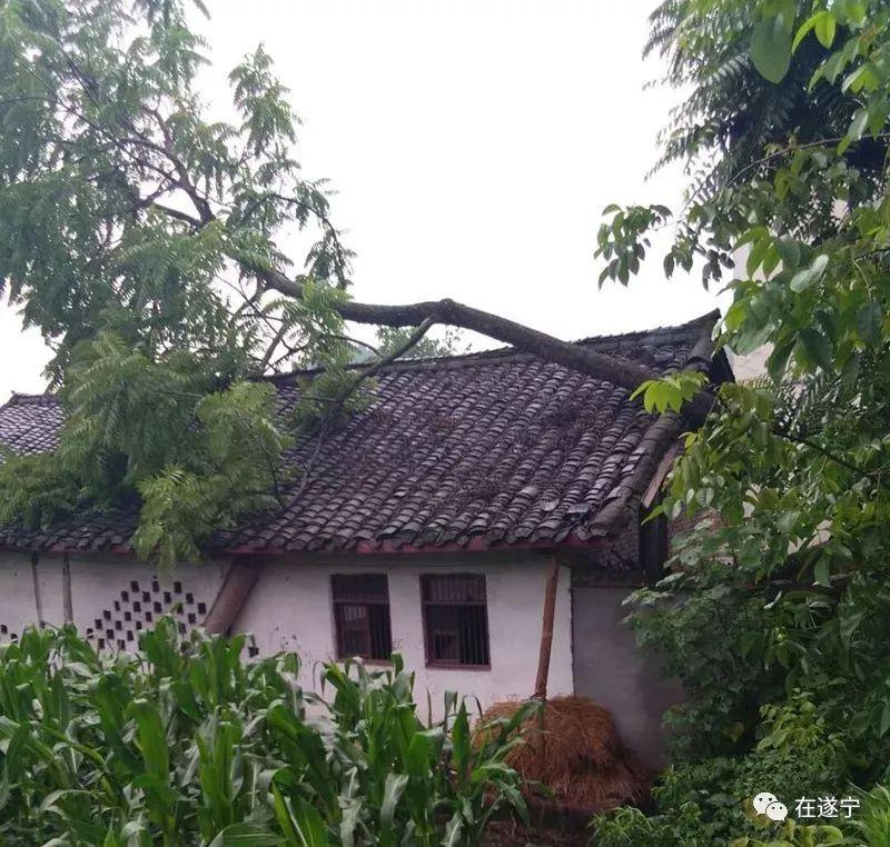 大风天气网友家房顶被吹飞了，一场天灾下的故事