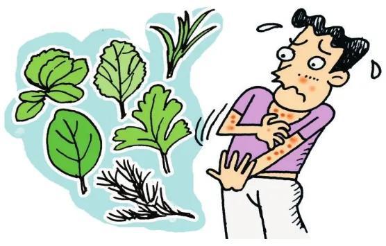 吃野菜中毒成表情包，一场意外的网络走红之旅