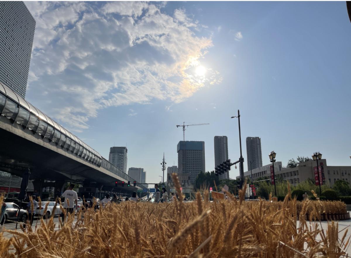 河南大风天气预报解析