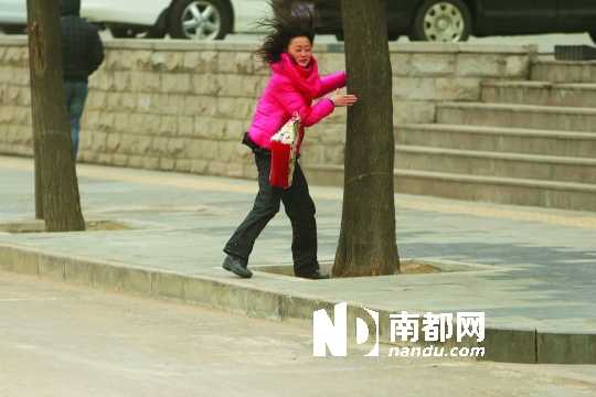 北京大风刮倒女孩事件深度解析
