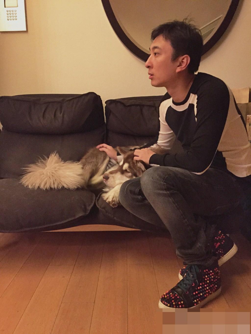 王思聪卖起平价牛排背后的故事与价格揭晓
