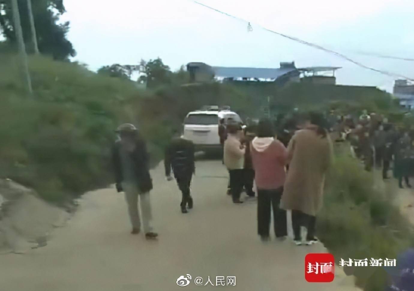 悲痛的瞬间，8岁男孩遭遇恶犬袭击的悲剧