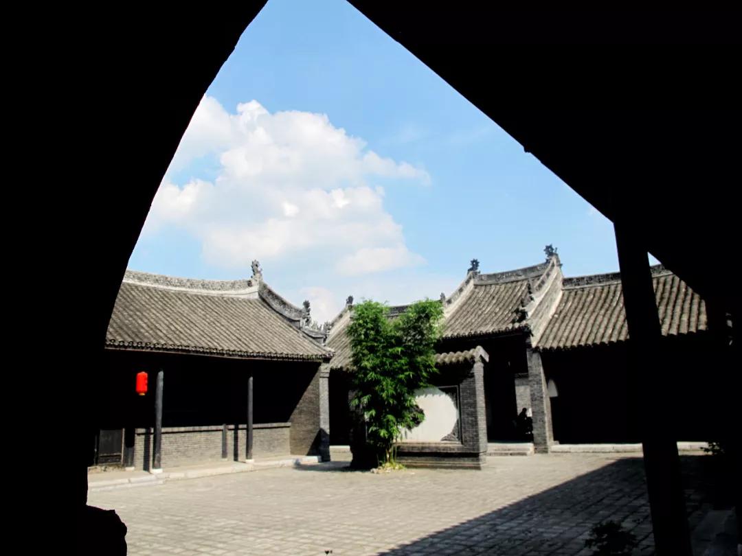 竹笋出土，自然生长的奇迹与视频的魅力