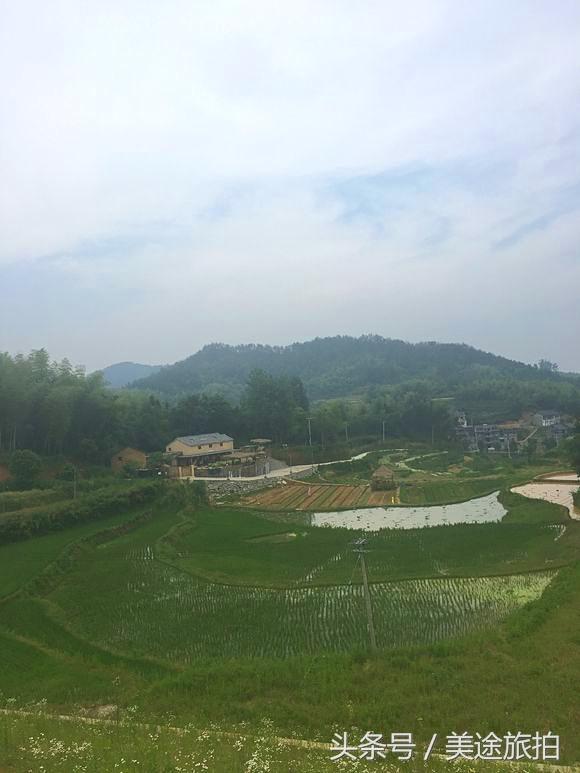 竹笋破土而出，一场关于时间与准备的盛宴