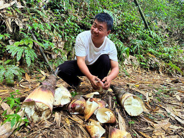 竹笋破土歇后语——探寻生命力与智慧的交融