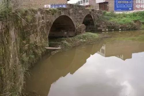 三河市绿化公司，打造绿色生态城市的先锋力量