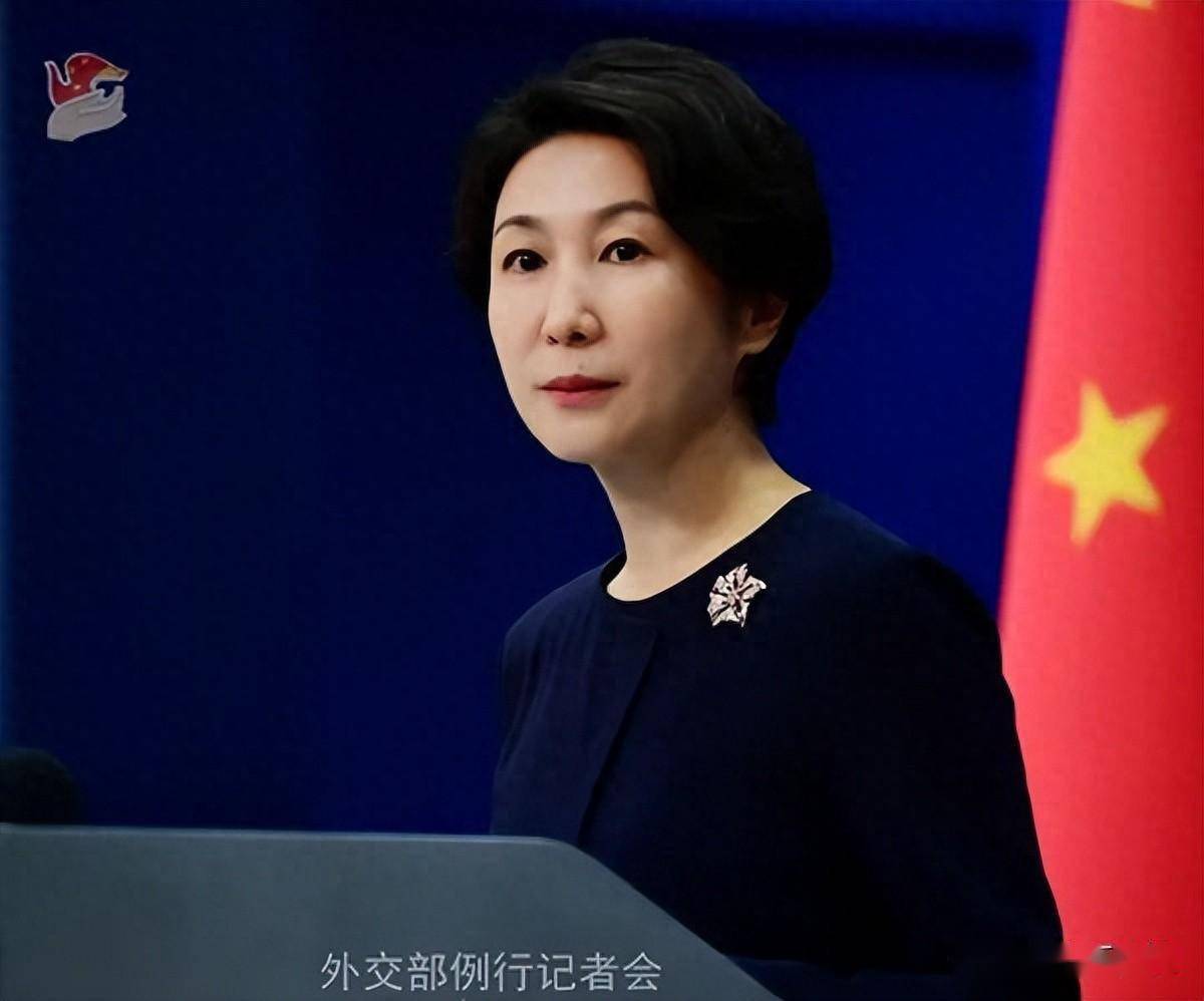 英议员赴港探亲被拒入境事件引发关注，外交部回应