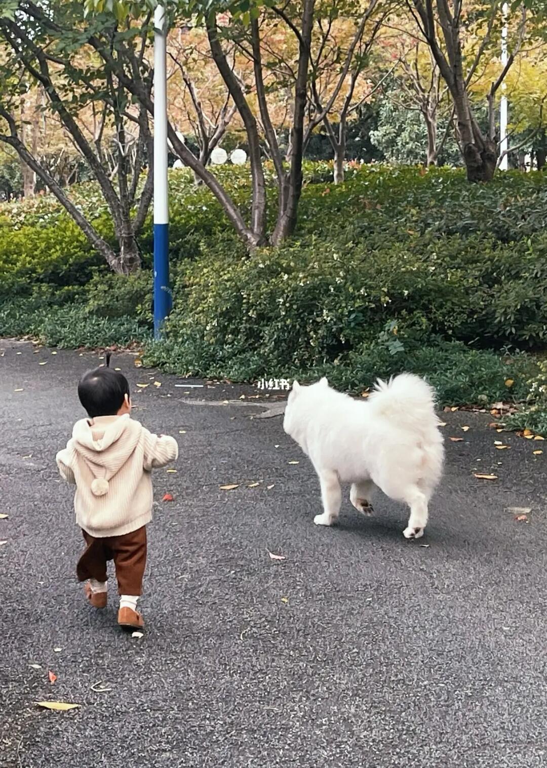 萌娃与狗狗久别重逢的双向奔赴，温馨瞬间满满的爱