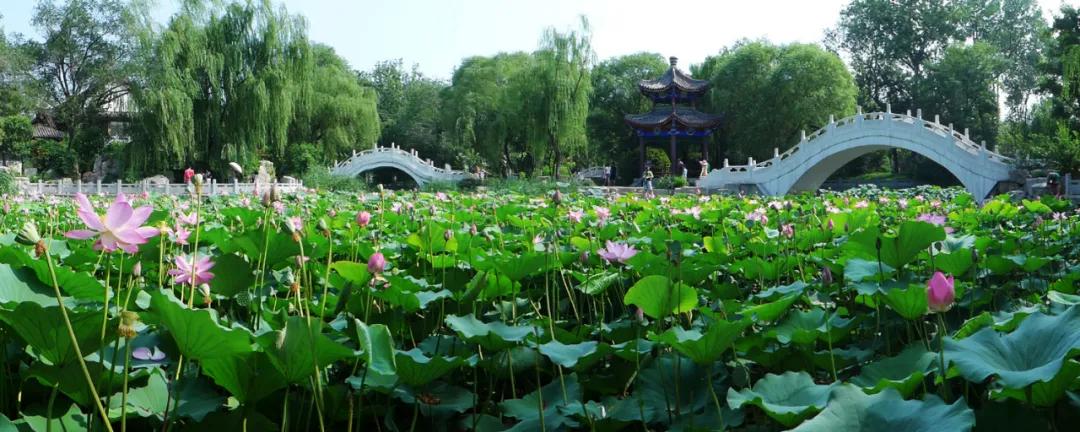 三河市绿水环保科技有限公司，绿色科技的力量，环保事业的先锋