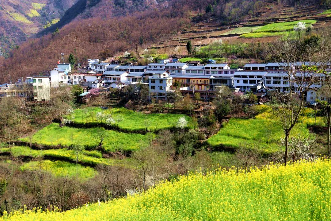 三河市绿水环保科技有限公司，绿色科技的力量，环保事业的先锋