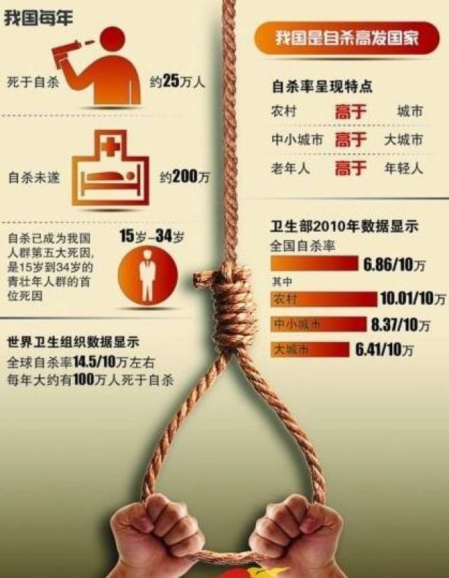探究杀害自闭症案例，深度解析与反思