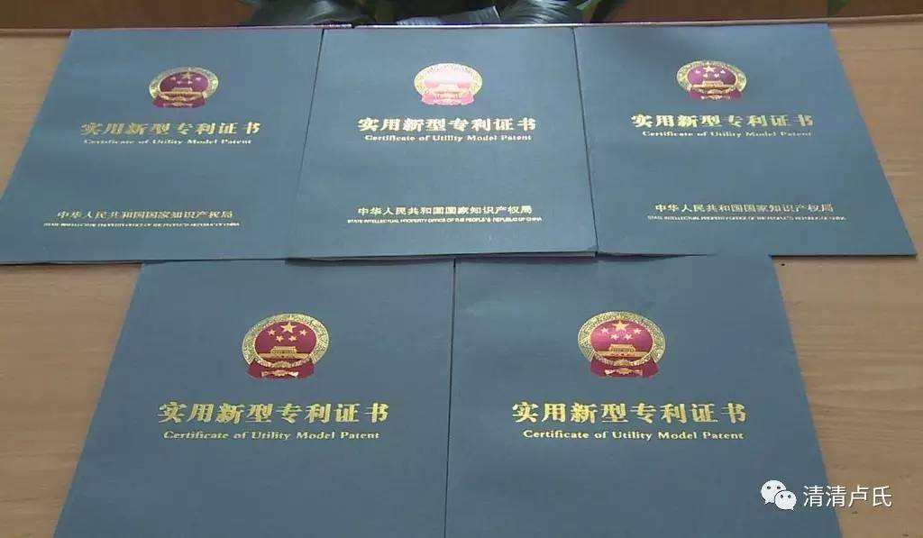 韩公司在美国成功申请饺子外观专利，传统美食的知识产权保护之路
