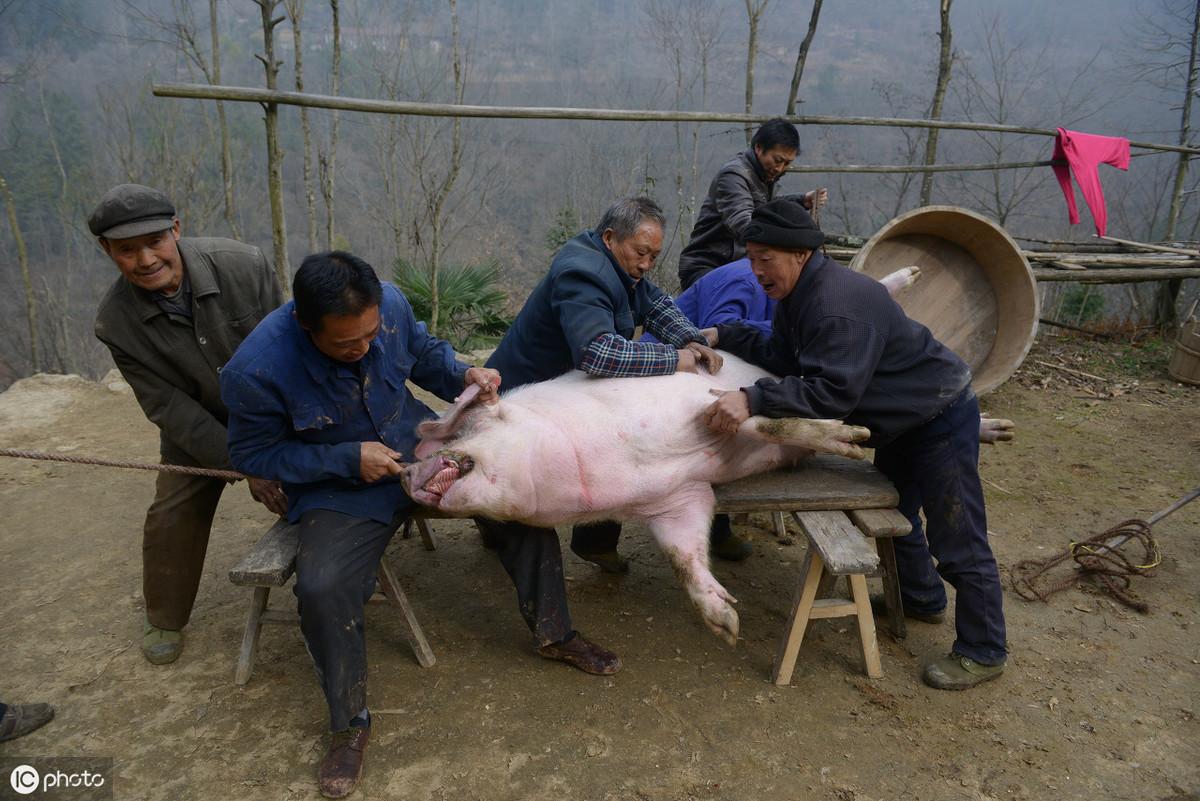 废弃猪场的新生命，探索转型与再利用之路
