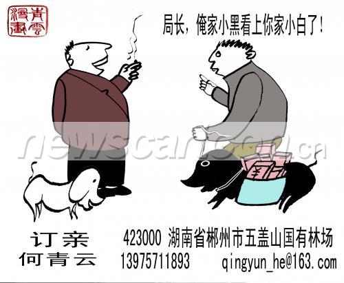 订亲，古今情缘的浪漫演绎