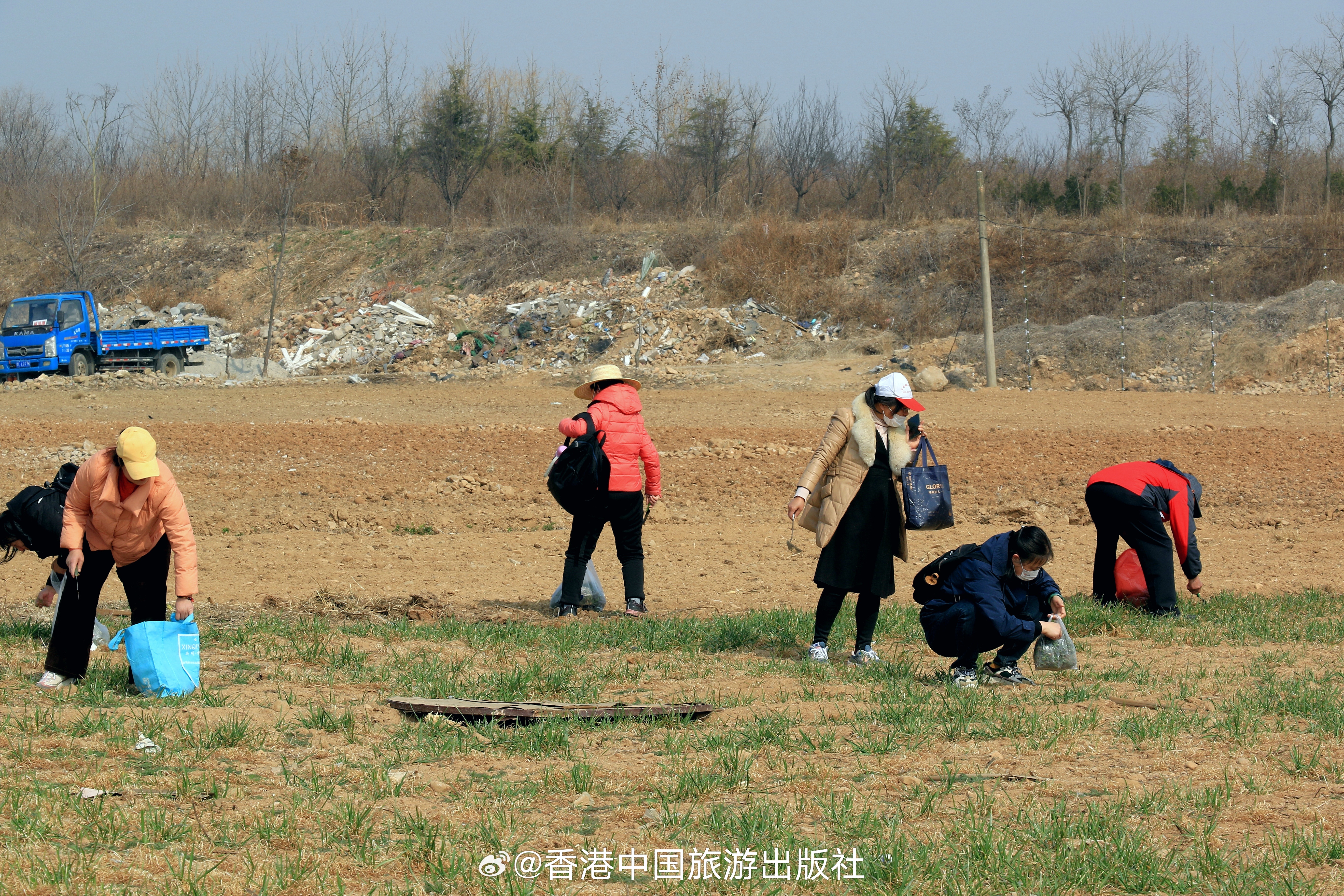 美国人开始薅野菜了，一场生活方式的转变与挑战